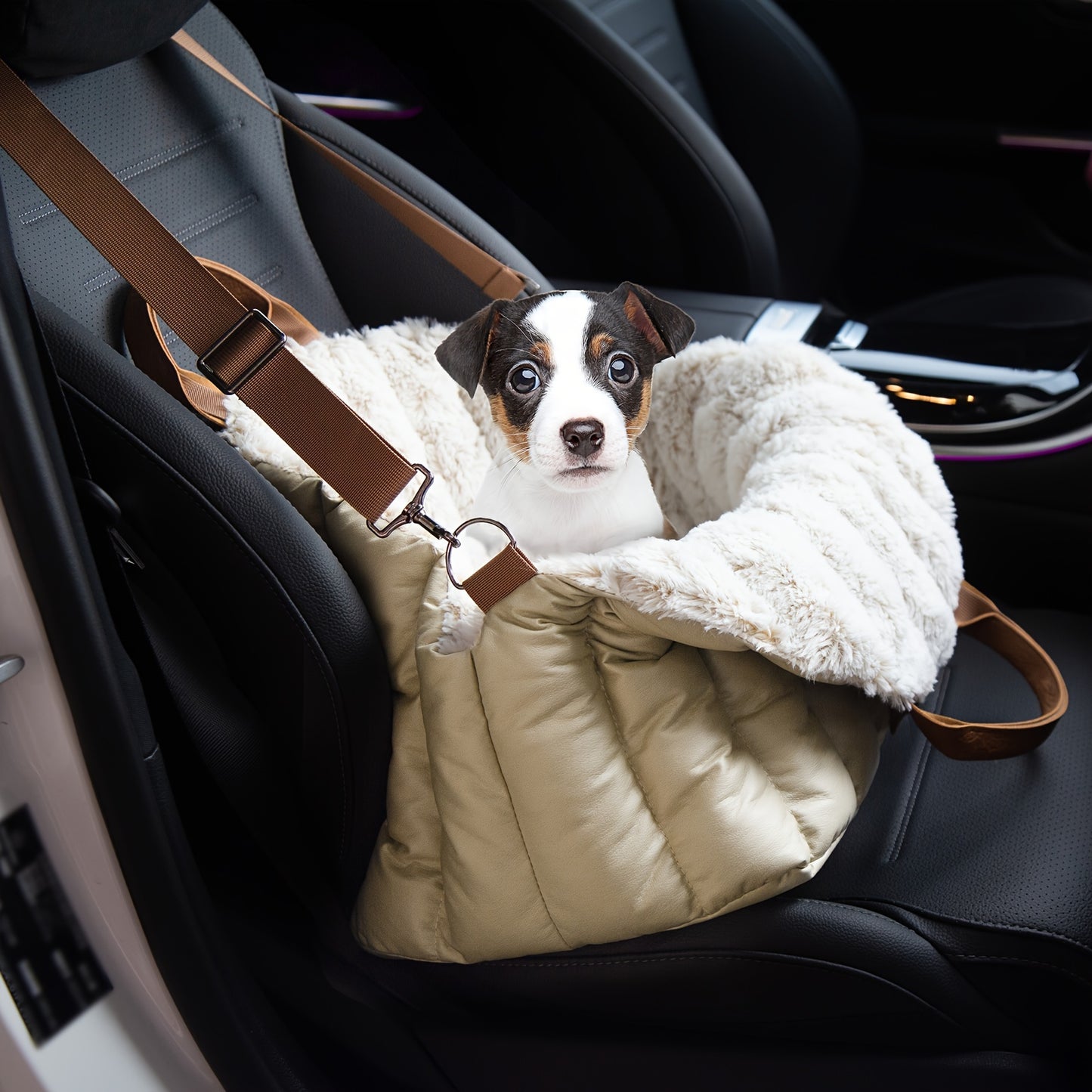 Small Dog Car Seat & Travel Carrier & Pet Bed